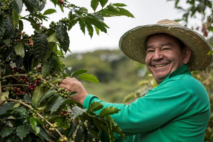 cafetero