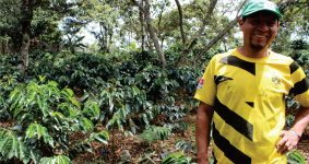 Construyendo sueños de café